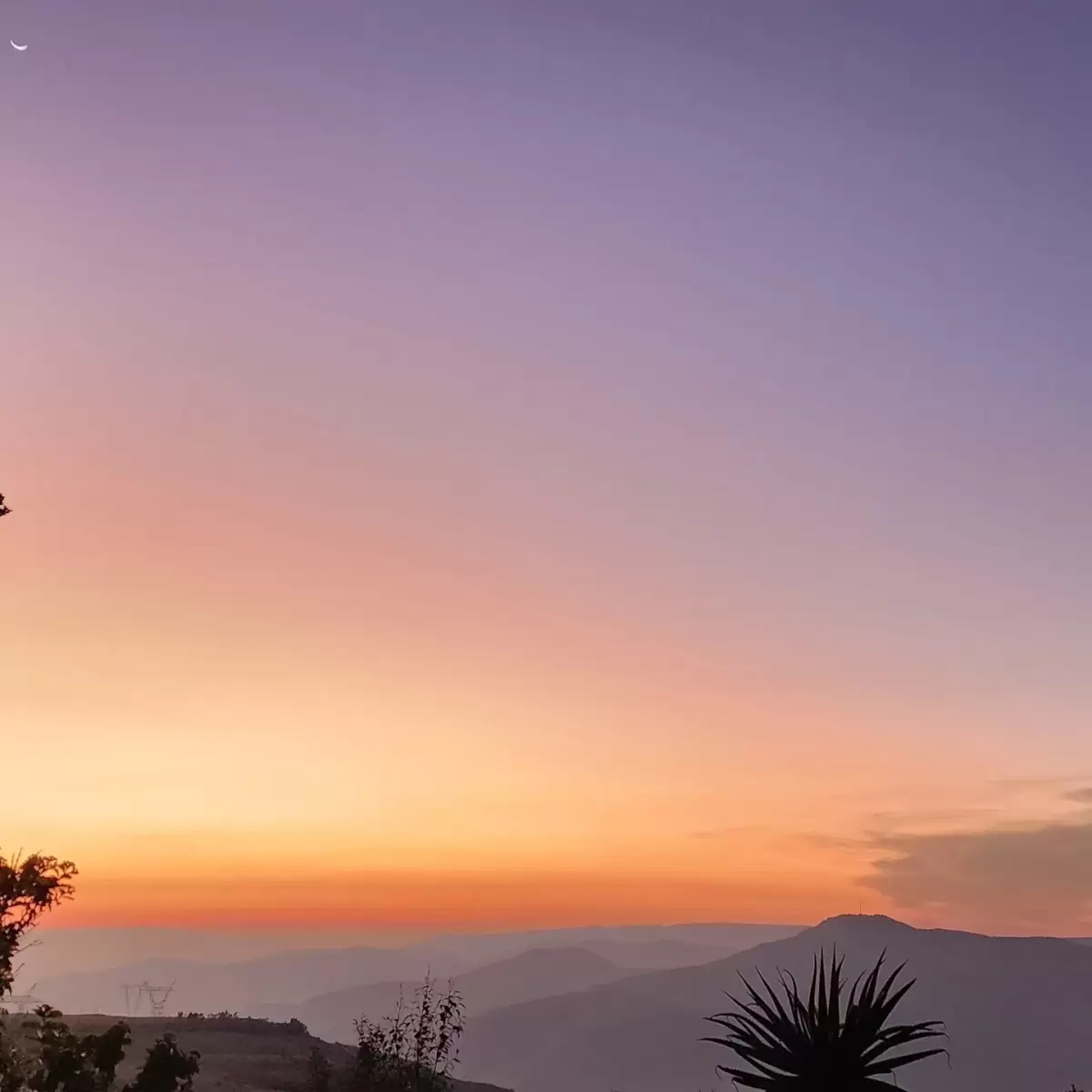 IMG_20230319_195021_931