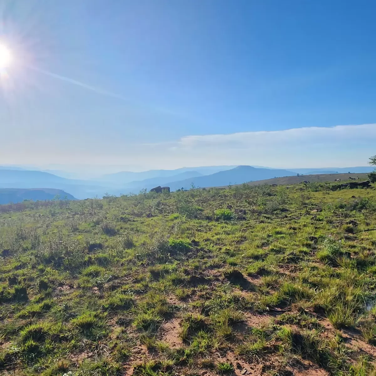 IMG_20230319_195021_971