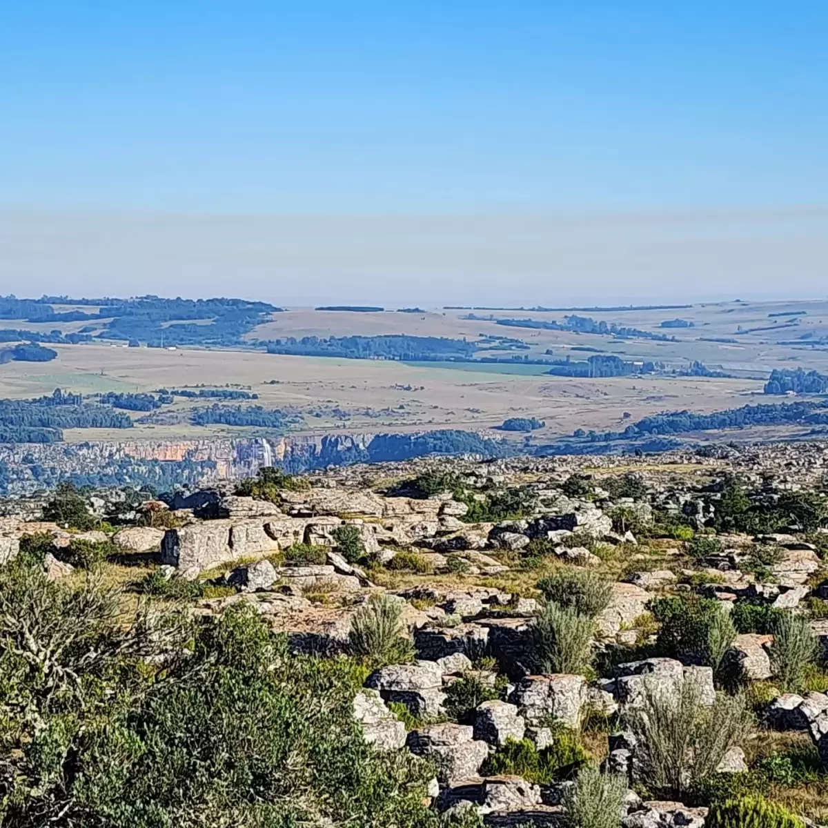 IMG_20230319_195022_026