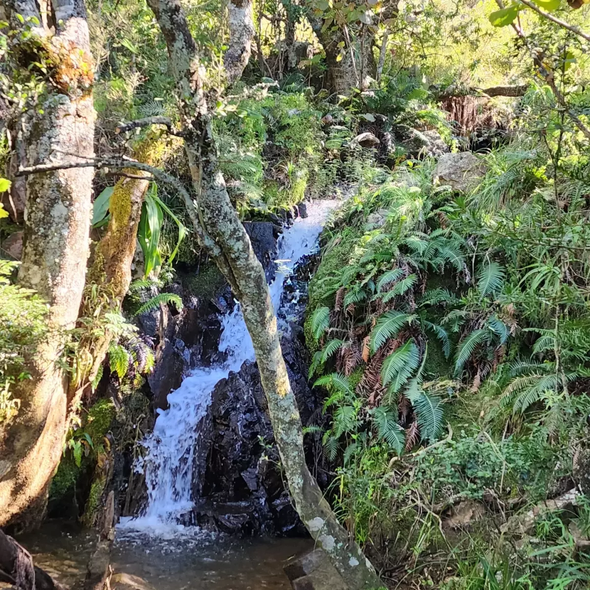 IMG_20230319_195022_070