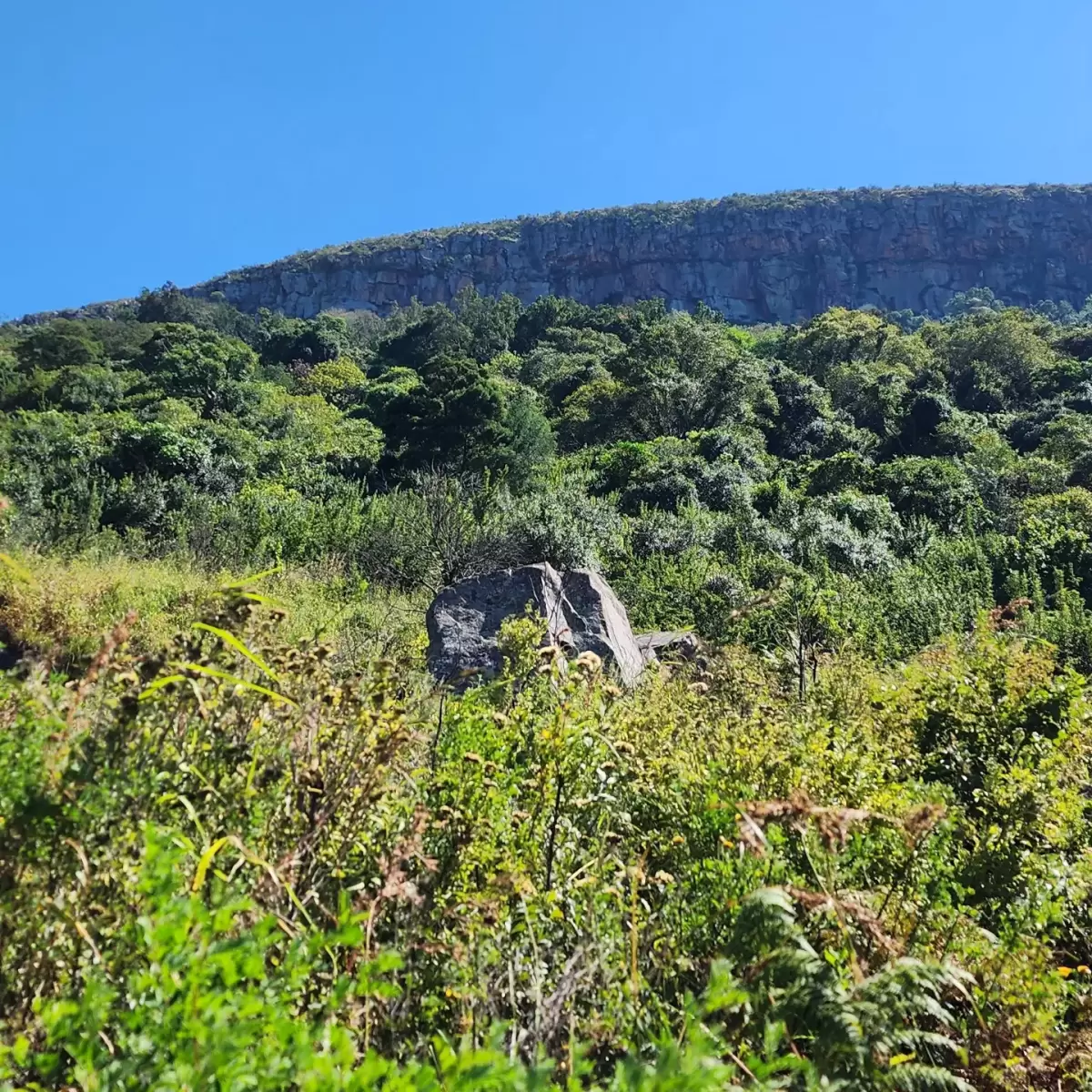 IMG_20230319_195022_107